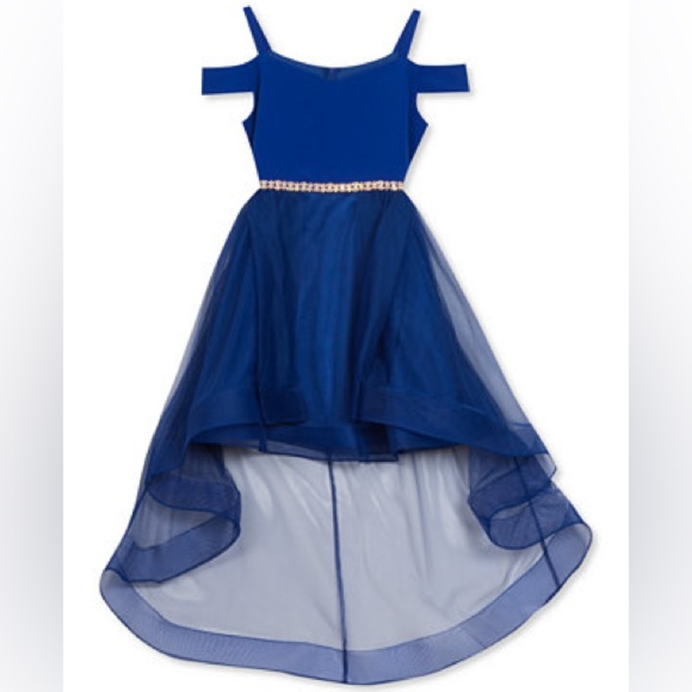 Rare Editions Royal Blue Formal Kids Dress